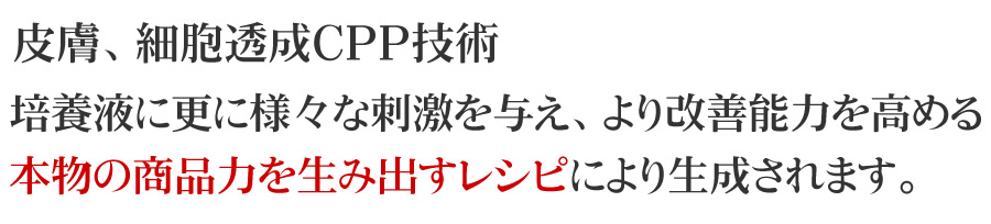 VINDIATEの経験を生かしたオリジナルレシピ